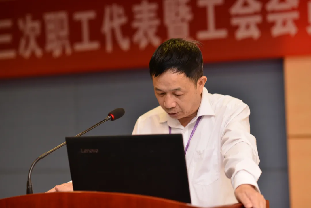 图片12