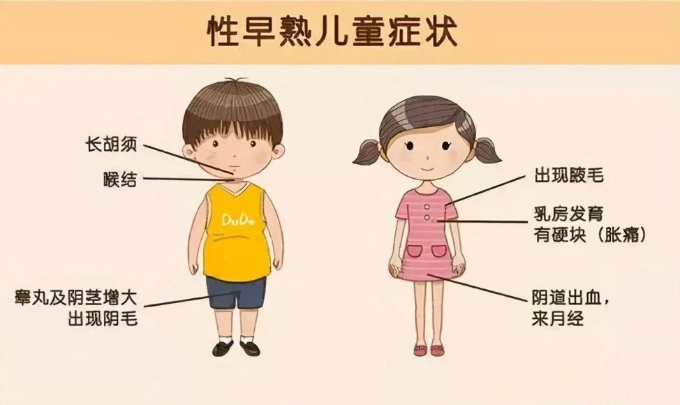微信图片_20240717210657