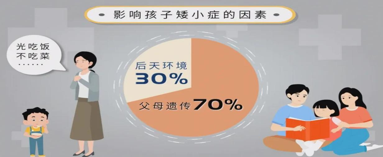 微信图片_20240806221443