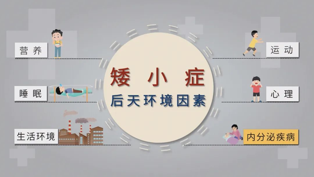 微信图片_20240806221446