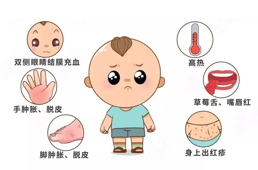 微信图片_20240827163013