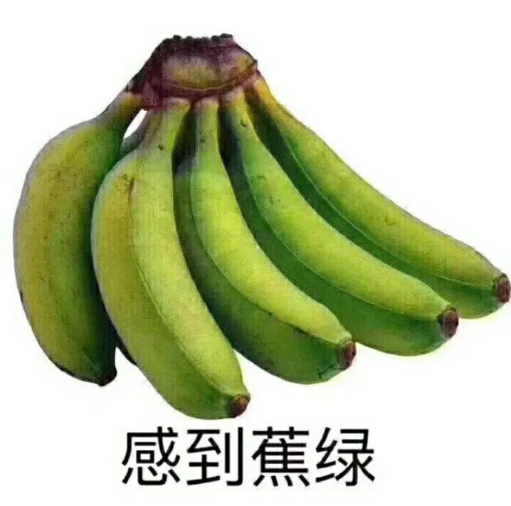 微信图片_20250106113654