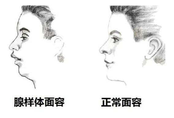 微信图片_2025-10-15_155832_365