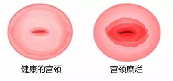 微信图片_2025-10-27_102339_573