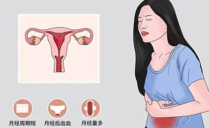 微信图片_2025-11-03_171228_562