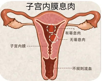 微信图片_2025-11-03_171219_402