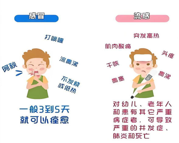 微信图片_2025-11-12_083219_059