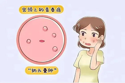 微信图片_2025-12-04_155112_500