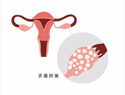 微信图片_2025-12-09_161221_895