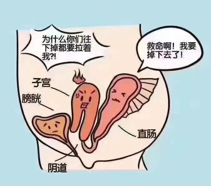 切除子宫内脏下垂图片