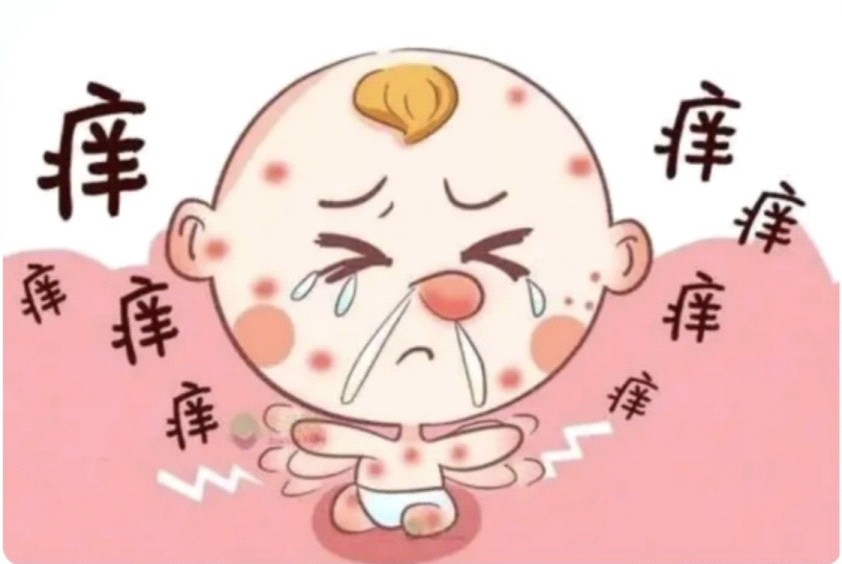 图片2