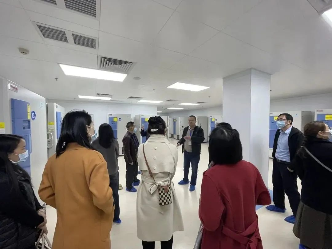 图片12