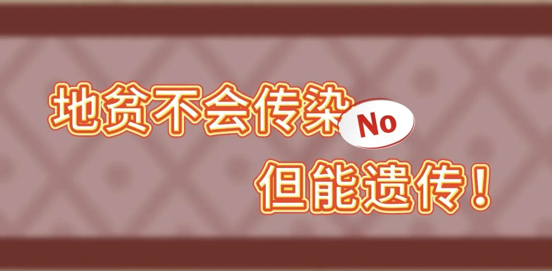 图片8