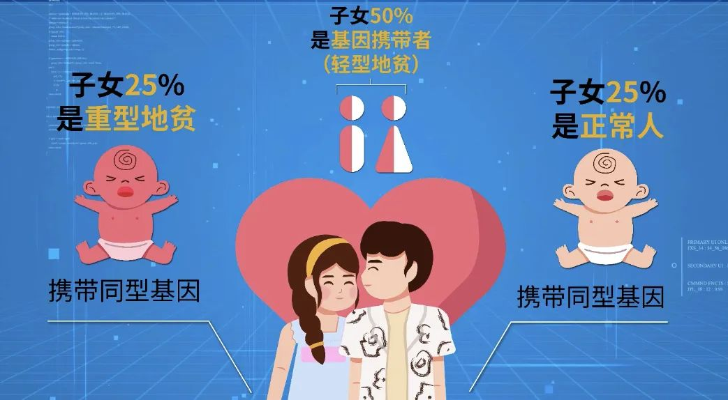 图片11