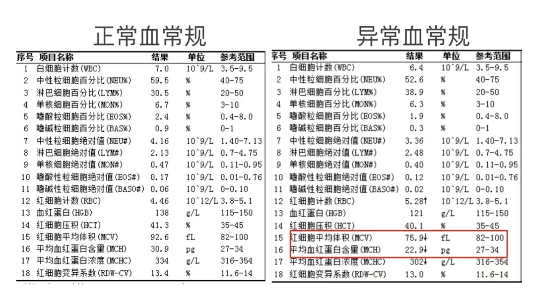 图片12