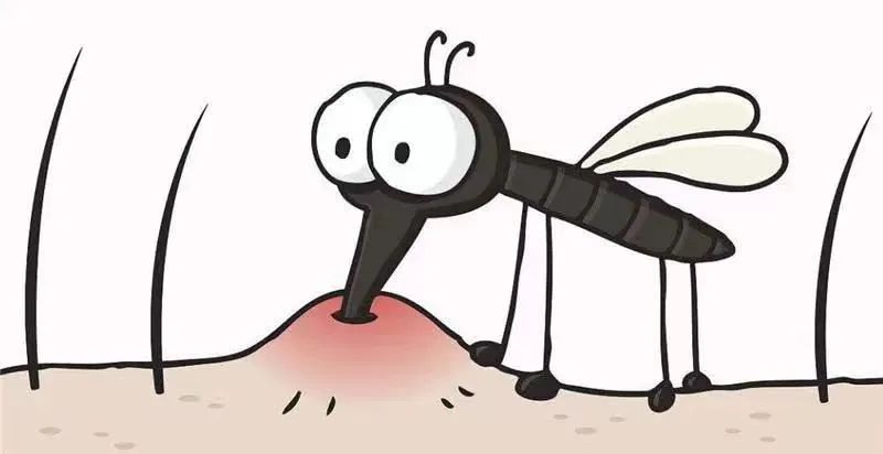 640
