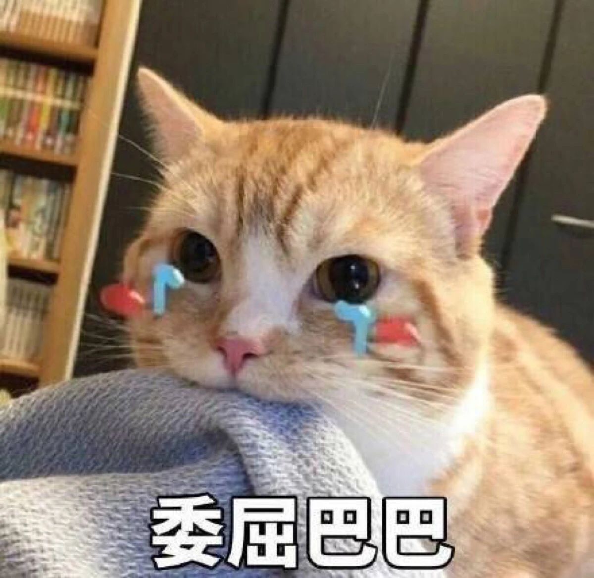 微信图片_20231019152728