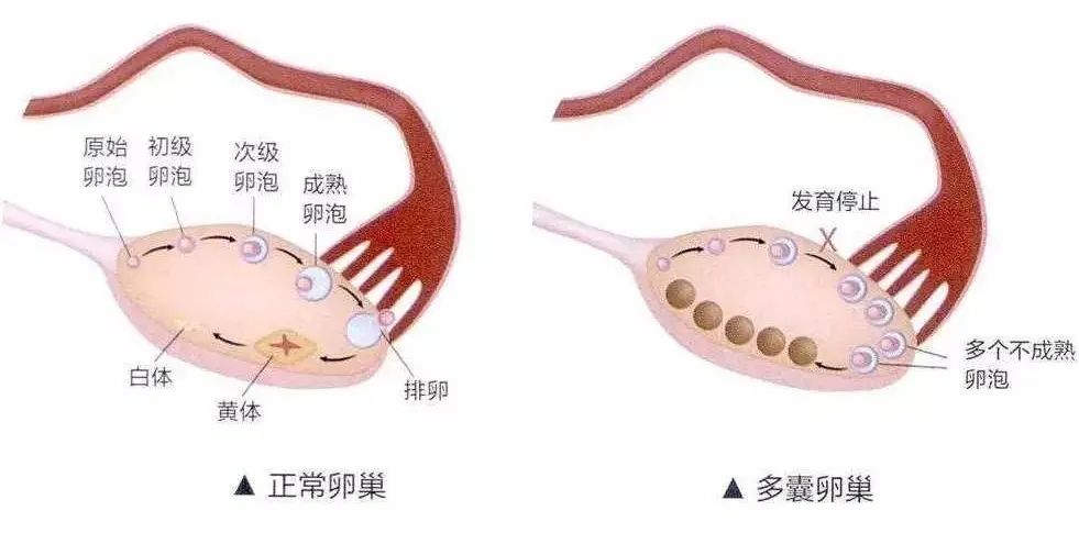 微信图片_20231103153720