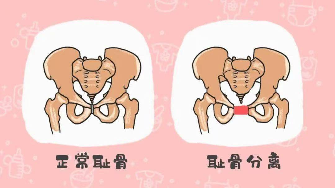 微信图片_20231207102431