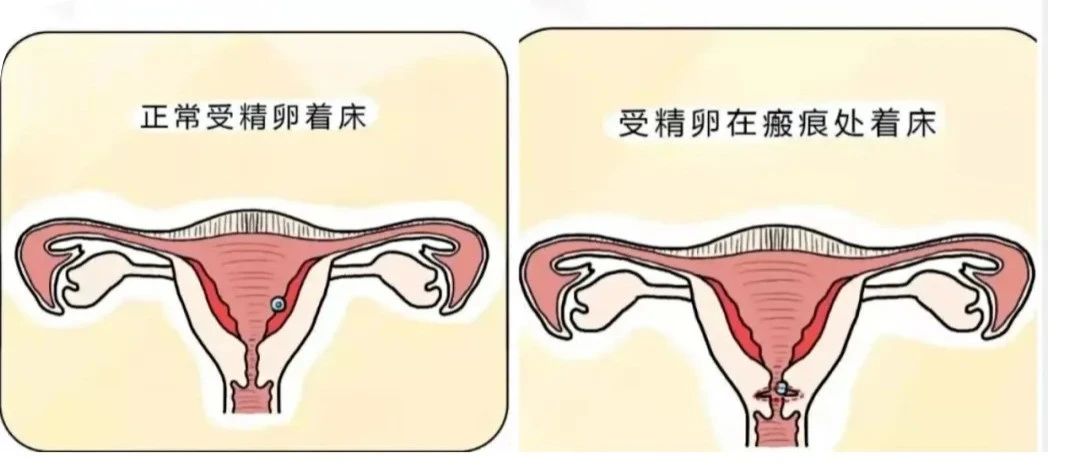 微信图片_20231212090141