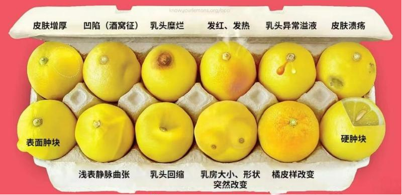 微信图片_20240301074249