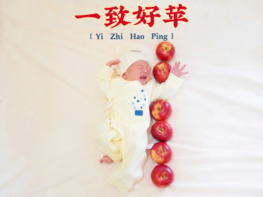 微信图片_20240325082141