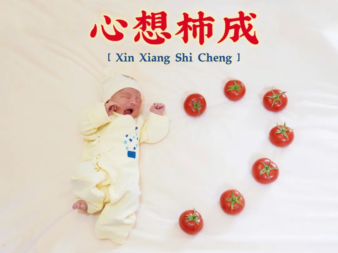 微信图片_20240325082132
