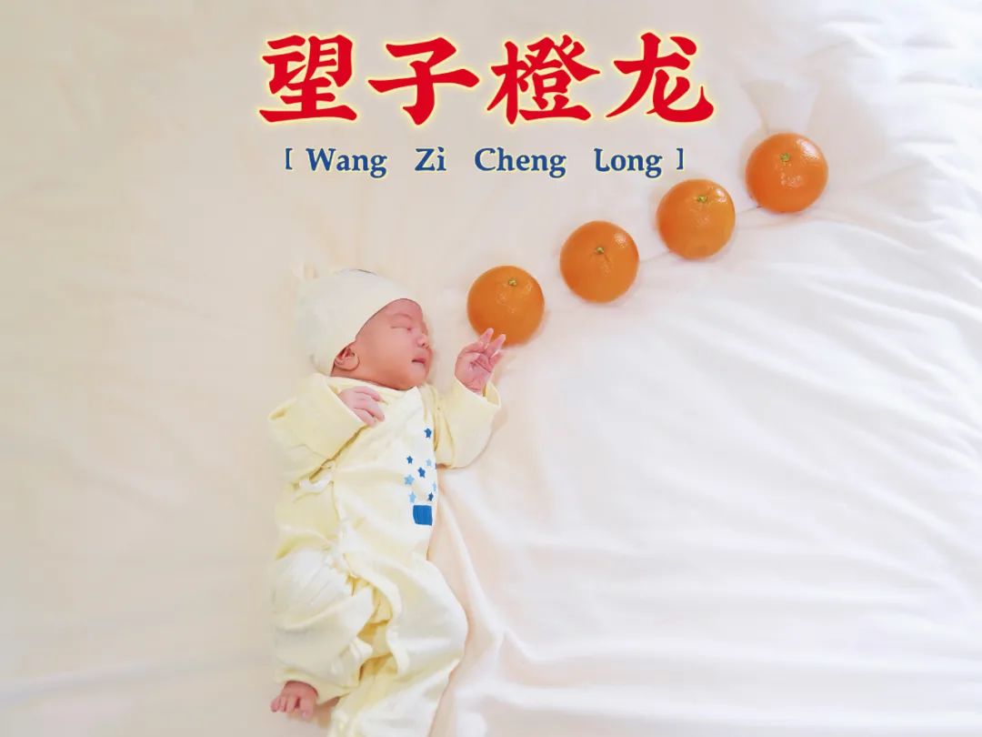 微信图片_20240325082144