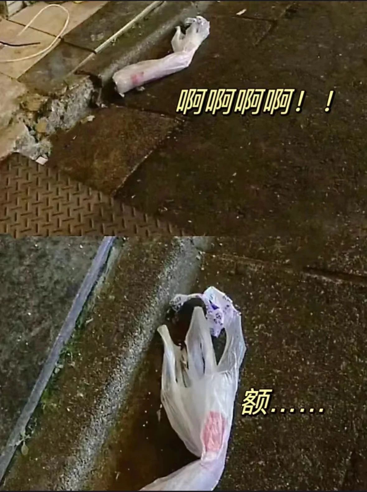 微信图片_20240401090056