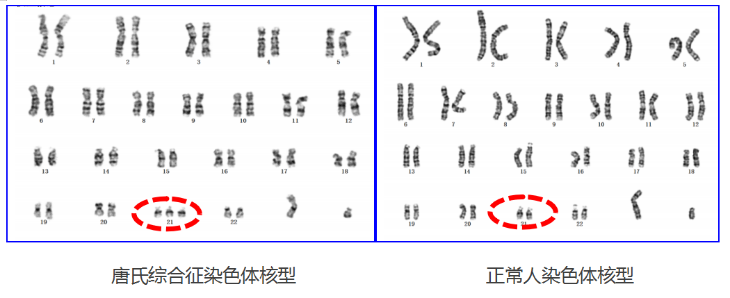 微信图片_20240401190524